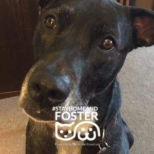 Meet your Posher, Ann